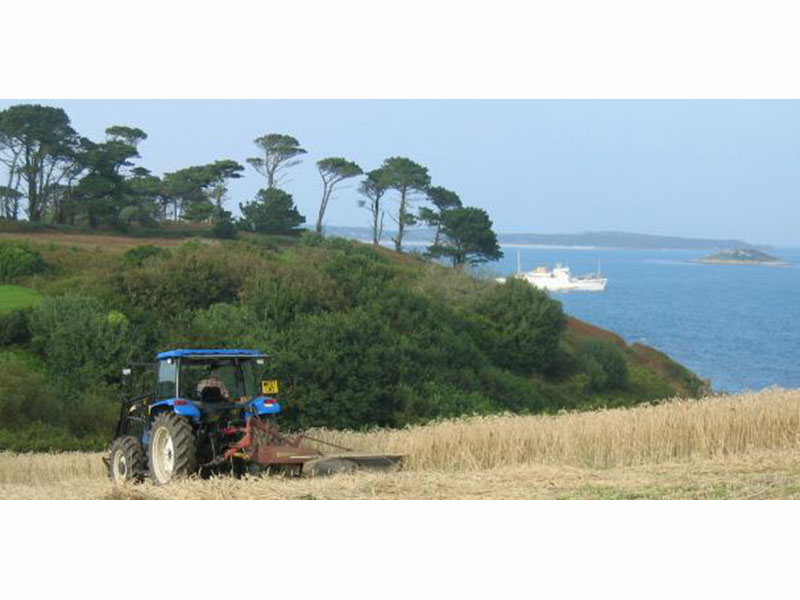 Pelistry Farm Isles of Scilly