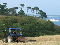 Pelistry Farm Isles of Scilly