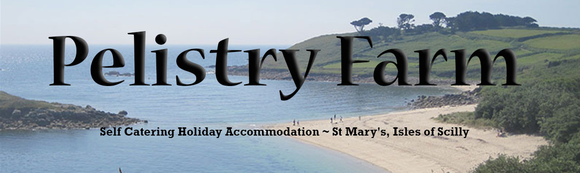 Pelistry Farm Isles of Scilly