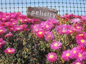 Pelistry Farm, Isles of Scilly